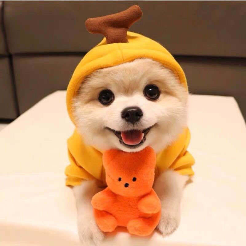 Cute Fruit Dog Hoodie - Winter Fleece Outfit for Small Pets