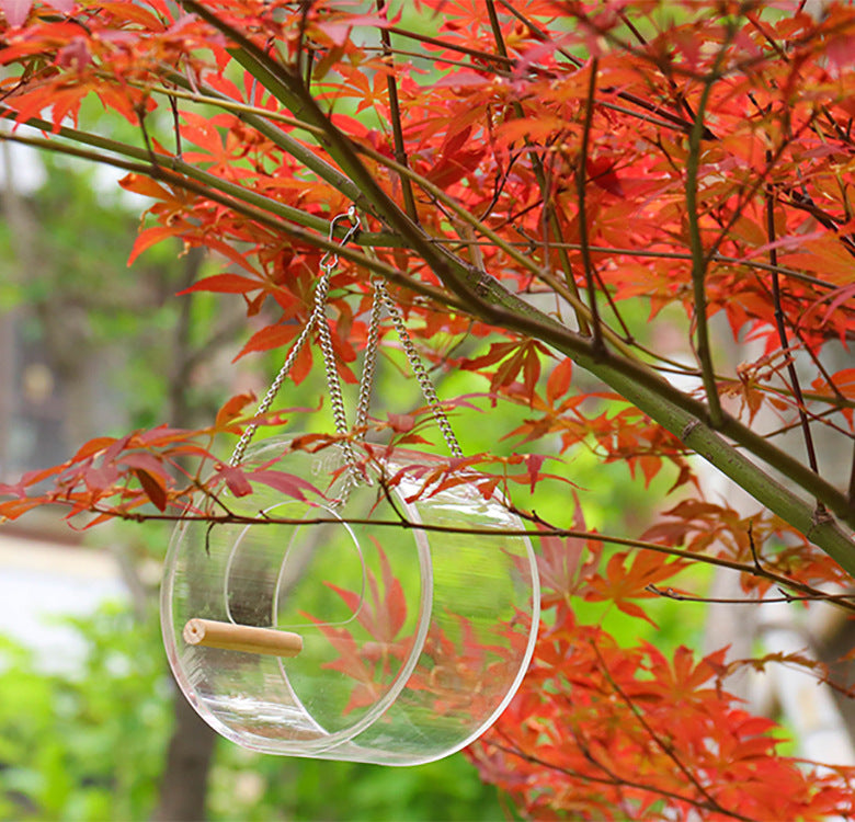 Durable Acrylic Bird Food Box - Easy to Clean & Spill-Proof