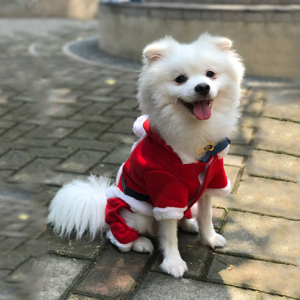 Christmas Warm Clothes for Pets - Cozy Holiday Outfits for Pets